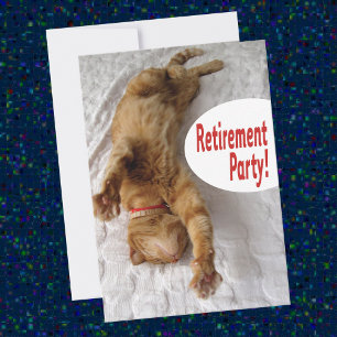 Retirement Party Invitation with funny cat