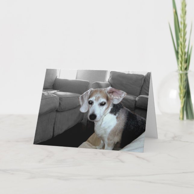 RETIREMENT ROCKS CARD (Front)