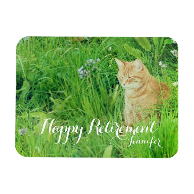 Retirement sleeping ginger cat in a meadow magnet (Horizontal)
