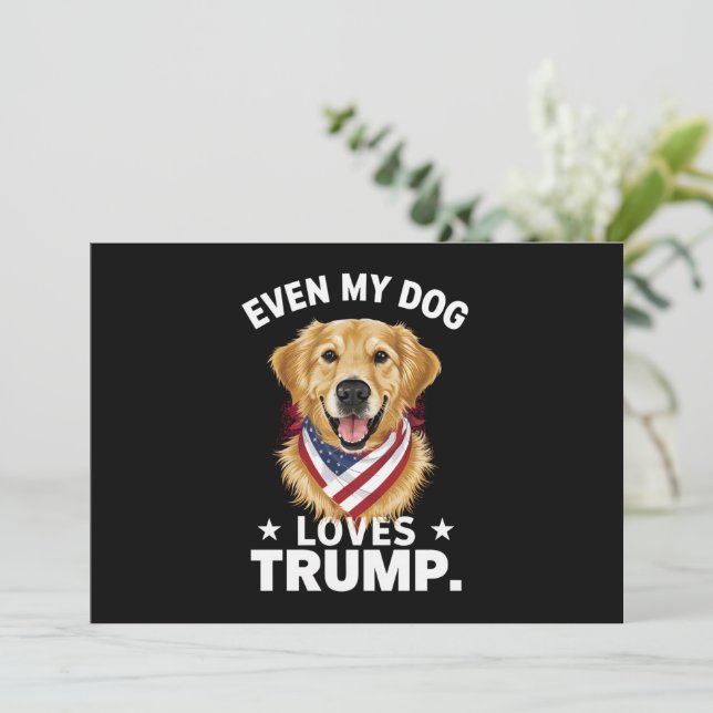 Retriever Even My Dog Loves Trump USA Flag Invitation (Standing Front)