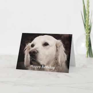 Retriever - Golden Card