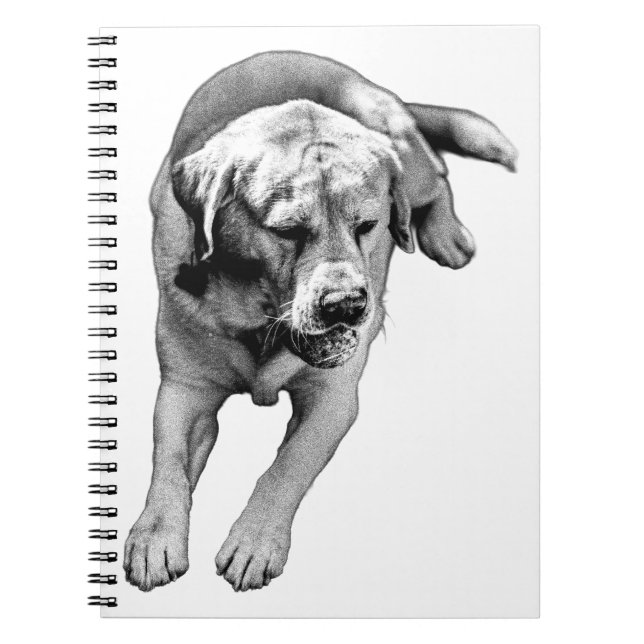 Retriever Notes – Calm & Bold Notebook (Front)