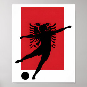 Retro10 Alnia Footll Alnia Soccer Alnia Flag Poster