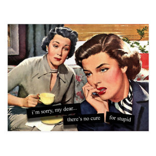 Retro 1950s Housewife "No Cure for Stupid" Postcard
