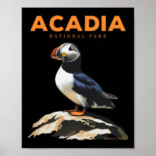 Retro Acadia National Park Atlantic Puffin Bird Lo Poster