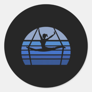 Retro Aerial Yoga Silhouette Lover Gift Aerialist  Classic Round Sticker