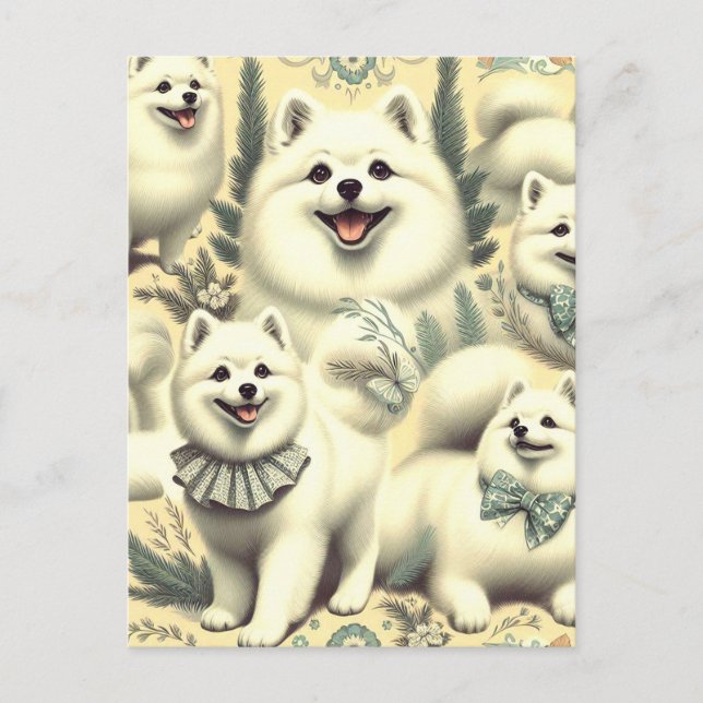 Retro American Eskimo Illustration Postcard (Front)