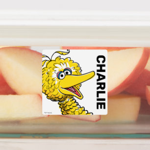 Retro Art Big Bird
