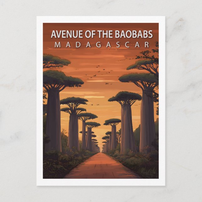 Retro Avenue of the Baobabs Madagascar Nature Postcard (Front)