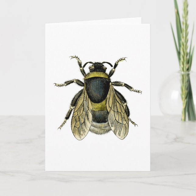Retro Bee Antique Illustration Black and Yellow Card (Front)