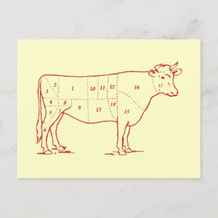 Retro Beef Cuts Postcard