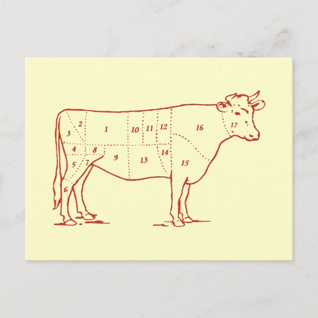 Retro Beef Cuts Postcard (Front)