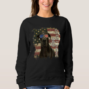 Retro Best Great Dane Dad Ever American Flag 4th O Sweatshirt