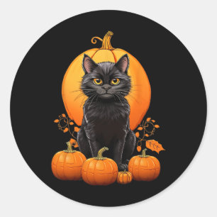 Retro Black Cat Halloween Pumpkin Costume For Wome Classic Round Sticker