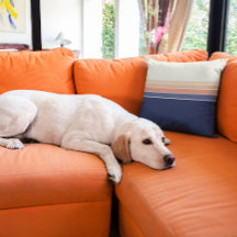 Retro Blue and Peach Striped Pillow