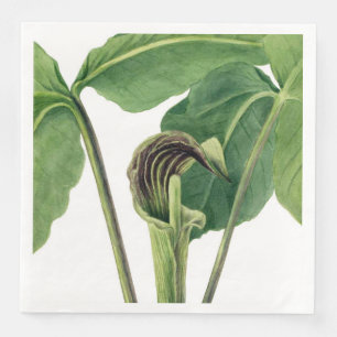 RETRO BOTANICAL ILLUSTRATION: JACK IN THE PULPIT NAPKIN