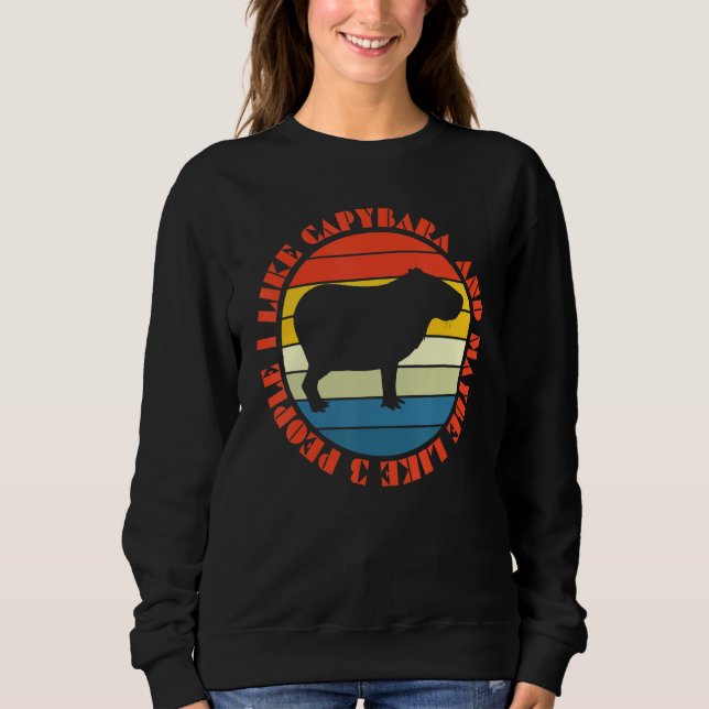 Retro Capybara I Like Capybara And Maybe 3 People Sweatshirt (Front)