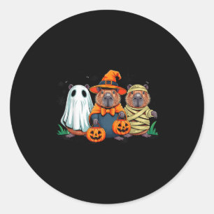 Retro Capybara Witch Y Halloween Pumpkin Women Men Classic Round Sticker