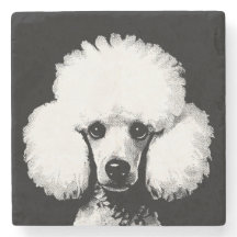 Retro Chic Pop Art Poodle