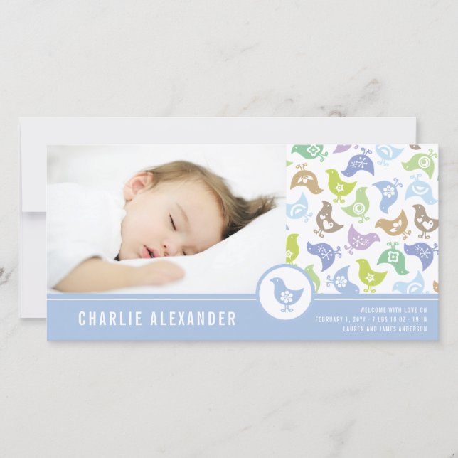 Retro Chicks Boy Birth Announcement Photo Card (Front)