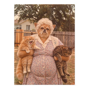 Retro Chihuahua Granny Holding Two Angry Cats Photo Print