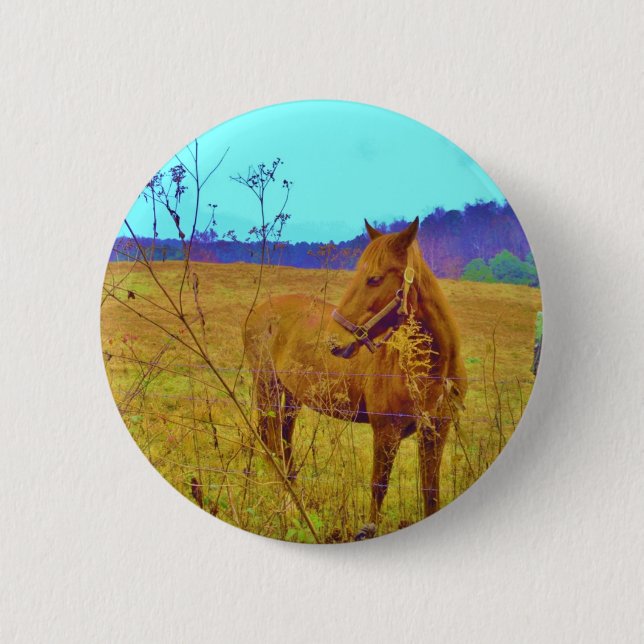 Retro Coloured Horse 6 Cm Round Badge (Front)