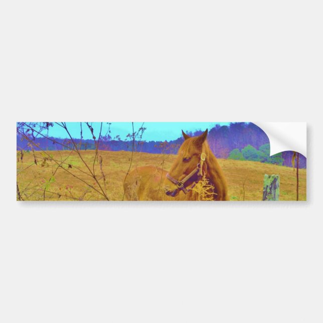 Retro Coloured Horse Bumper Sticker (Front)