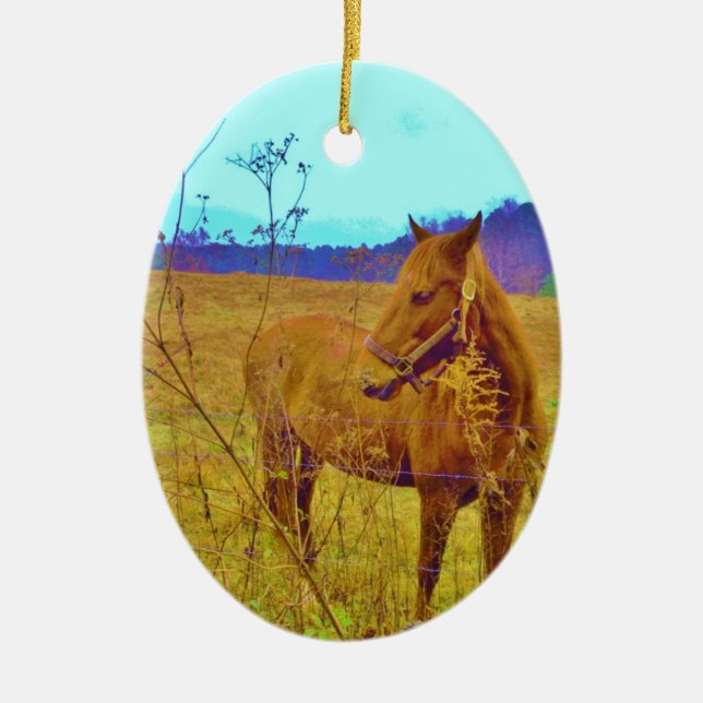 Retro Coloured Horse Ceramic Ornament (Front)