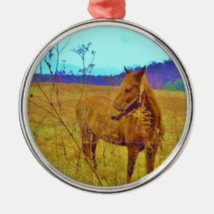 Retro Coloured Horse Metal Ornament