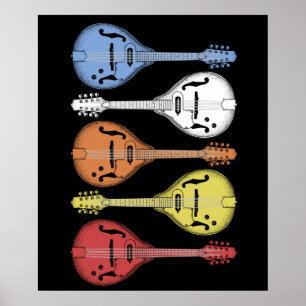 Retro Country Music Mandolin Vintage Bluegrass Poster