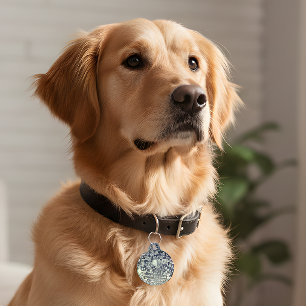 Retro Disco Pet ID Tag