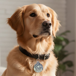 Retro Disco Pet ID Tag Fun Dog Collar Decal