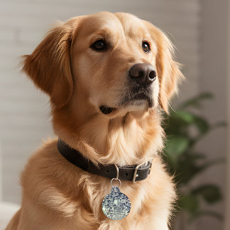 Retro Disco Pet ID Tag | Fun Dog Collar Decal