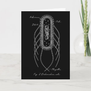 Retro E. Coli Schematic Diagram Microbiology Scien Card