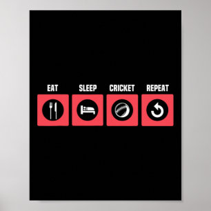Retro Eat Sleep Cricket Game Cricket Players Field Poster