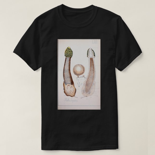 Retro edible and poisonous rude phallus mushroom T-Shirt (Design Front)
