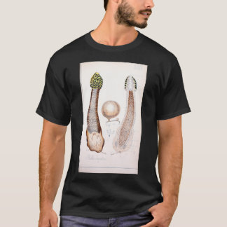 Retro edible and poisonous rude phallus mushroom T-Shirt