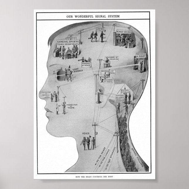 Retro educational  poster (Front)