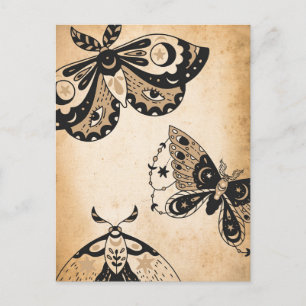 Retro faded black moths tan vintage parchment postcard