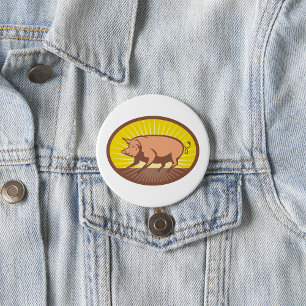 Retro Farm Pig with Sunburst  7.5 Cm Round Badge