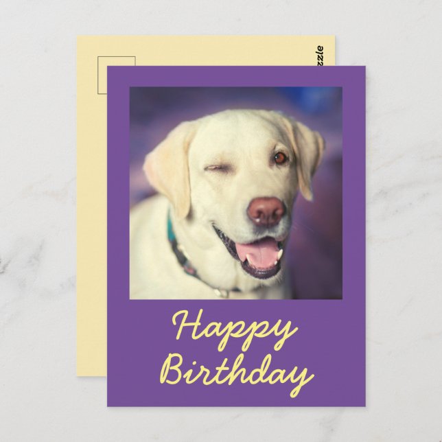 Retro Funny Dog and Happy Birthday Postcard (Front/Back)