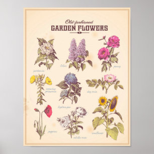 Retro garden flowers poster