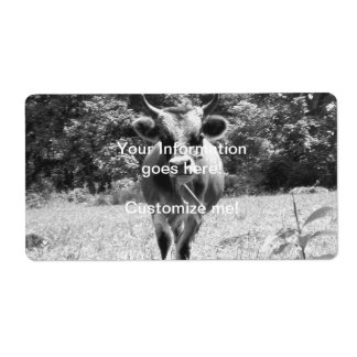 Retro Grey Bull Photo