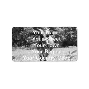 Retro Grey Bull Photo Label