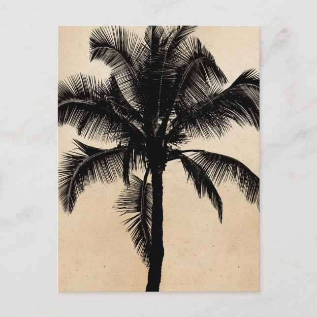 Retro Hawaiian Tropical Palm Tree Silhouette Black Postcard (Front)