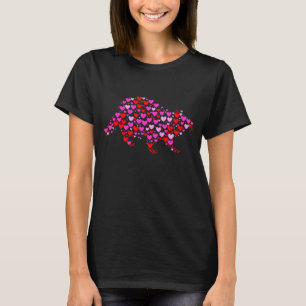 Retro Hearts Racoon Animals Birthday Christmas Va T-Shirt