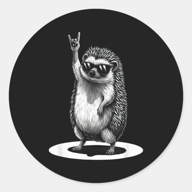 Retro Hedgehog Rock Music Men Kids Women Funny Ani Classic Round Sticker (Front)