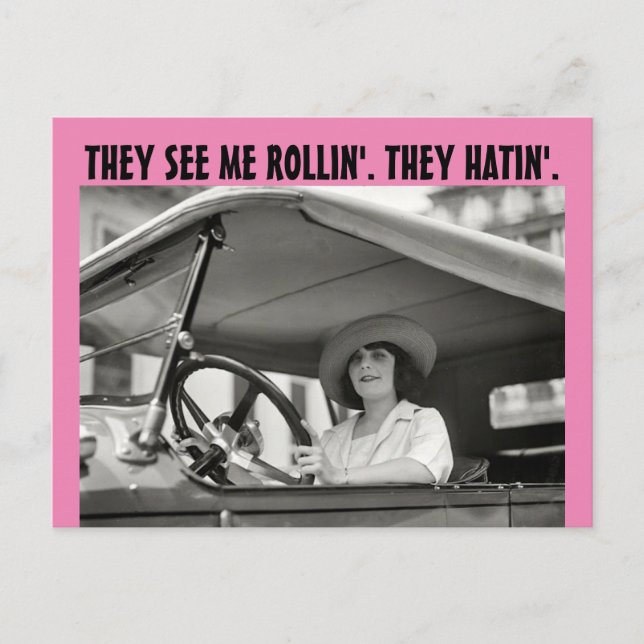 RETRO HOUSEWIFE FUNNY "THEY HATIN' Postcards (Front)