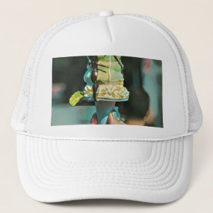 Retro ice cream popsicle trucker hat