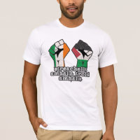 Retro Ireland Palestine Solidarity Fist revolution